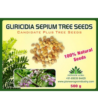 Gliricidia Sepium Tree Seed 500 grams